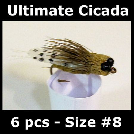 DRY Cicada - 6 pcs